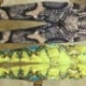 Snake | Printed Leggings photo review